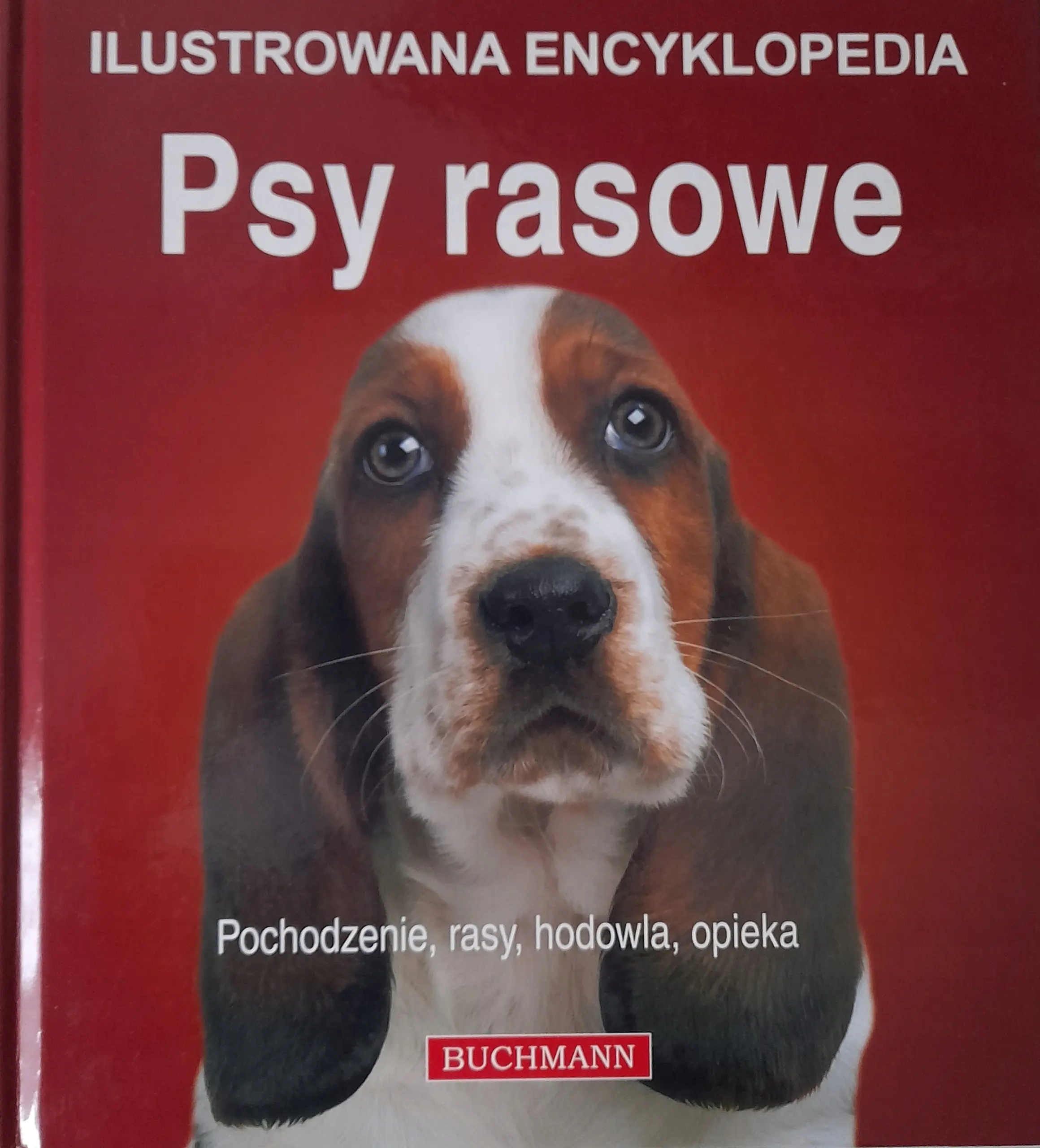 Książka - Psy rasowe. Pochodzenie, rasy, hodowla, opieka