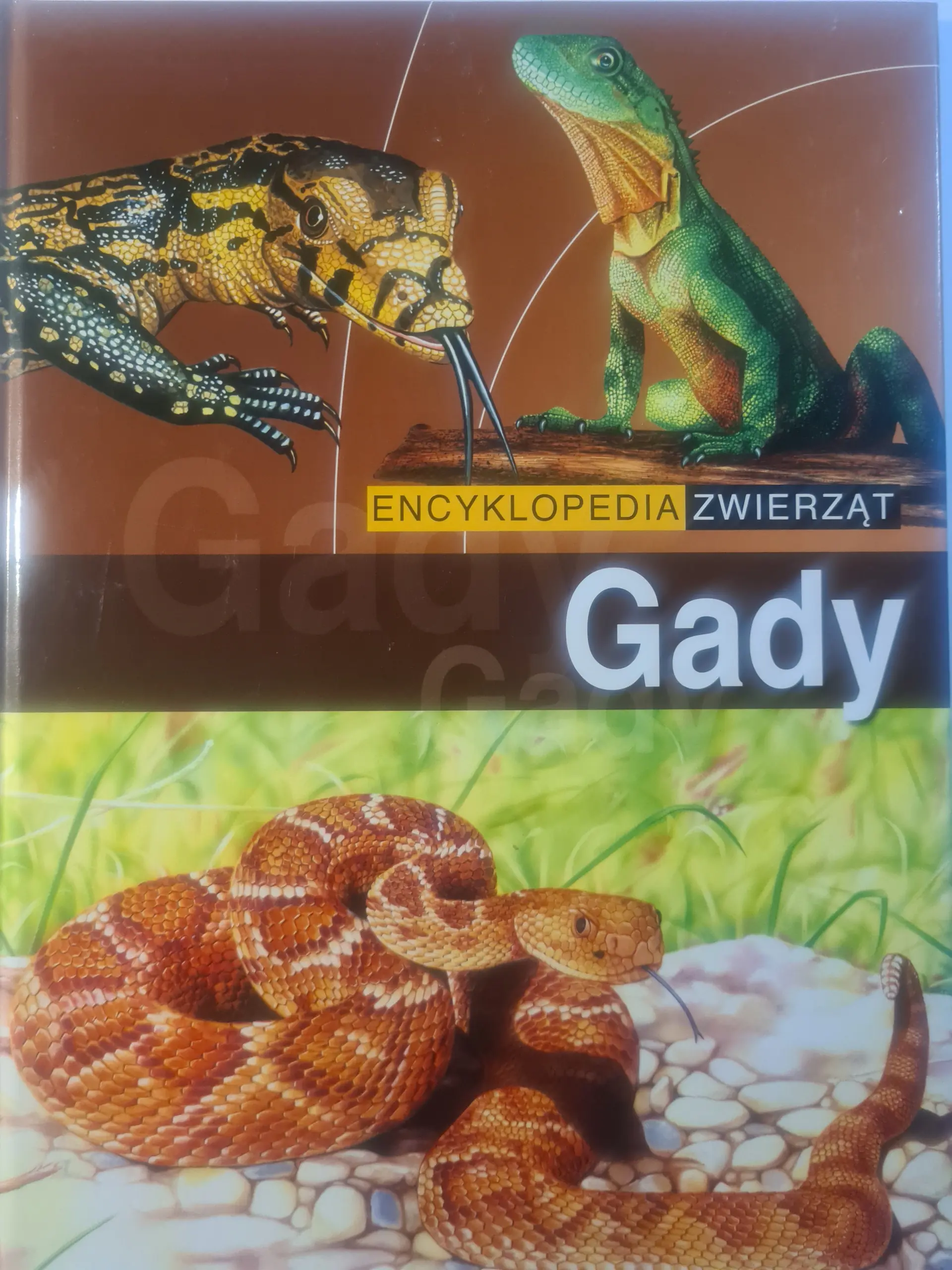 Książka - Encyklopedia zwierząt. Gady