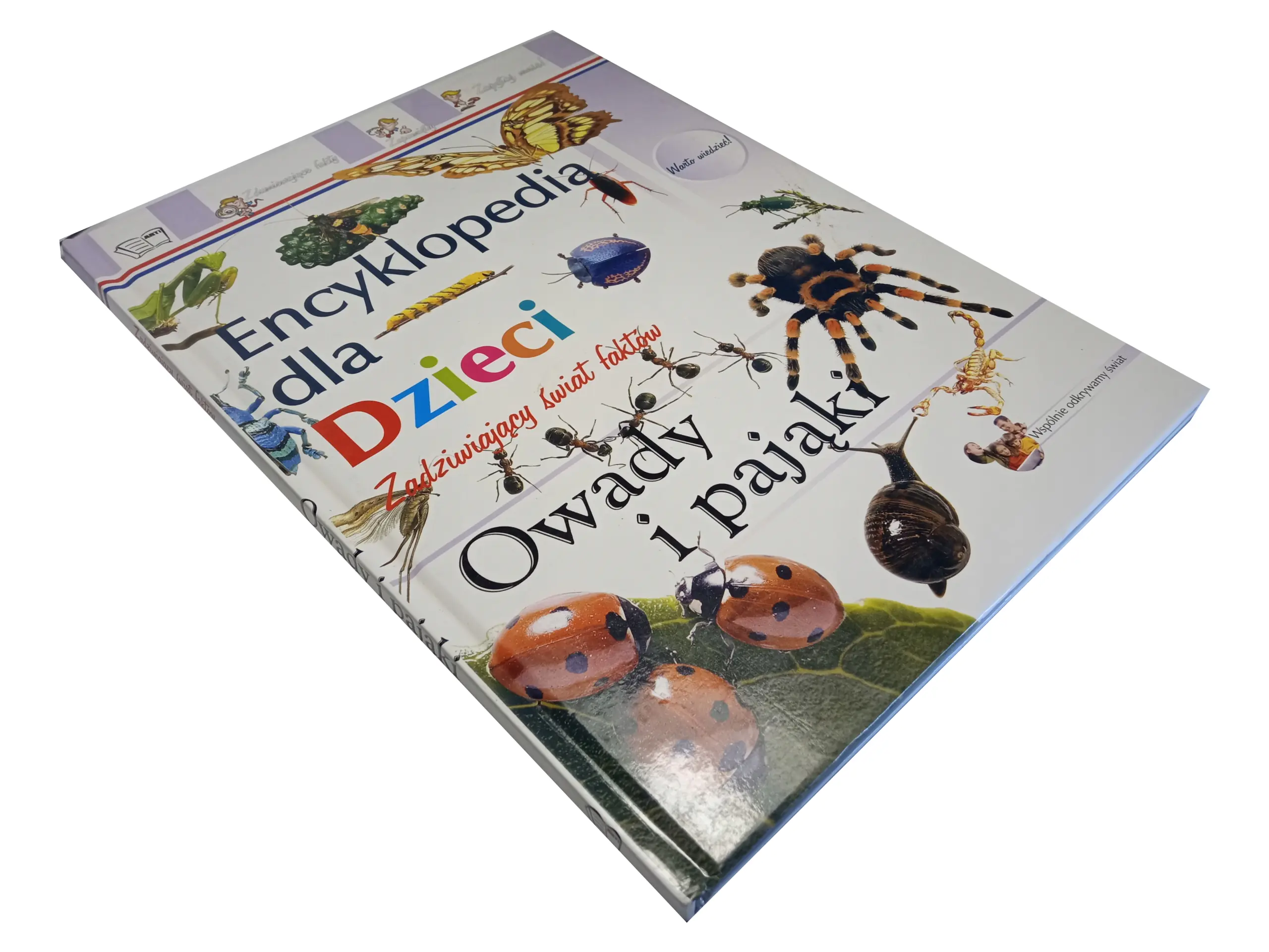 Książka - Owady i pająki. Encyklopedia dla dzieci