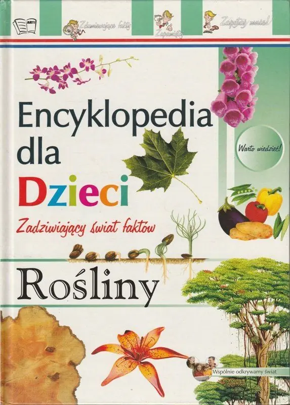 Książka - Rośliny Encyklopedia dla dzieci