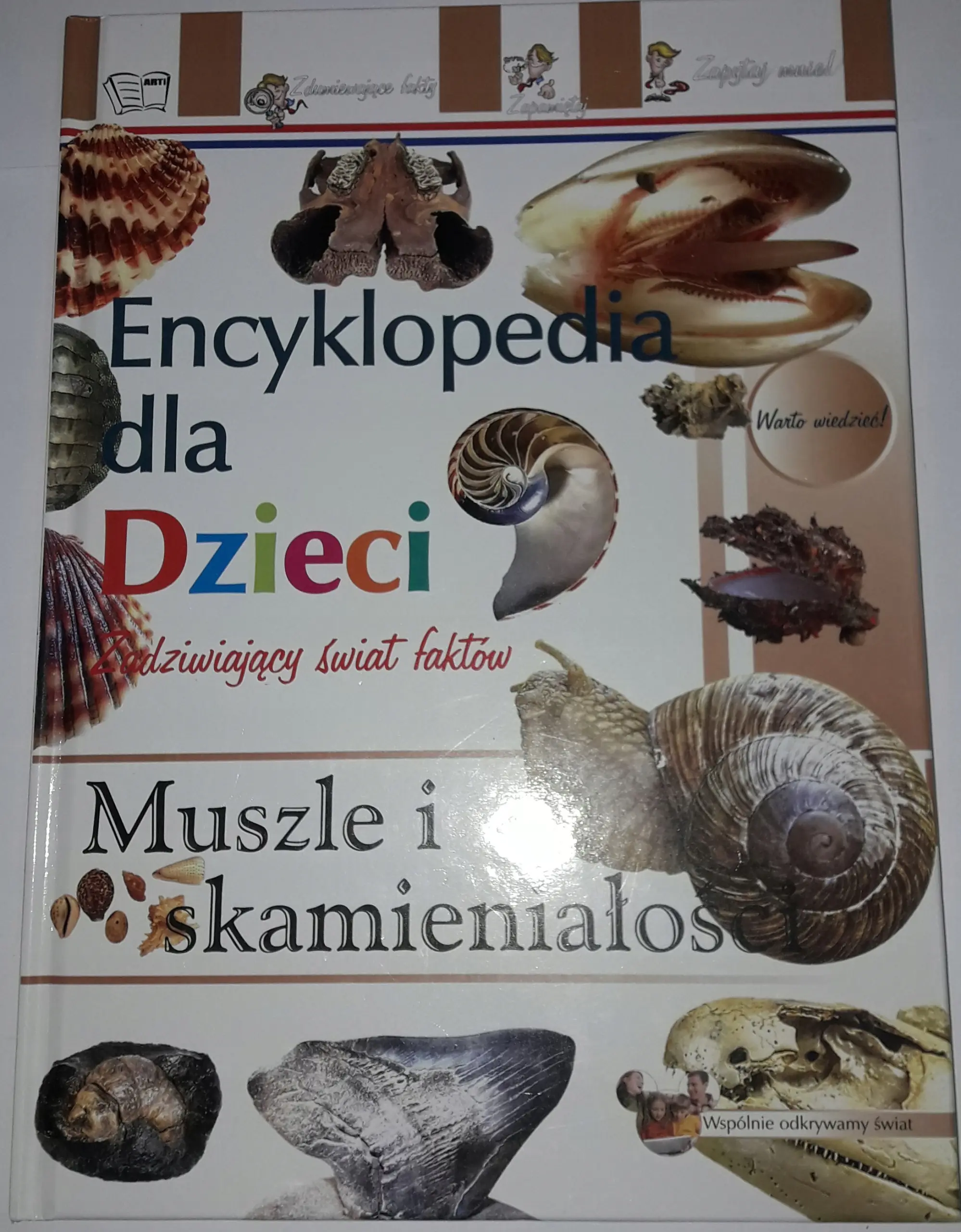 Książka - Muszle i skamieniałości. Encyklopedia dla dzieci
