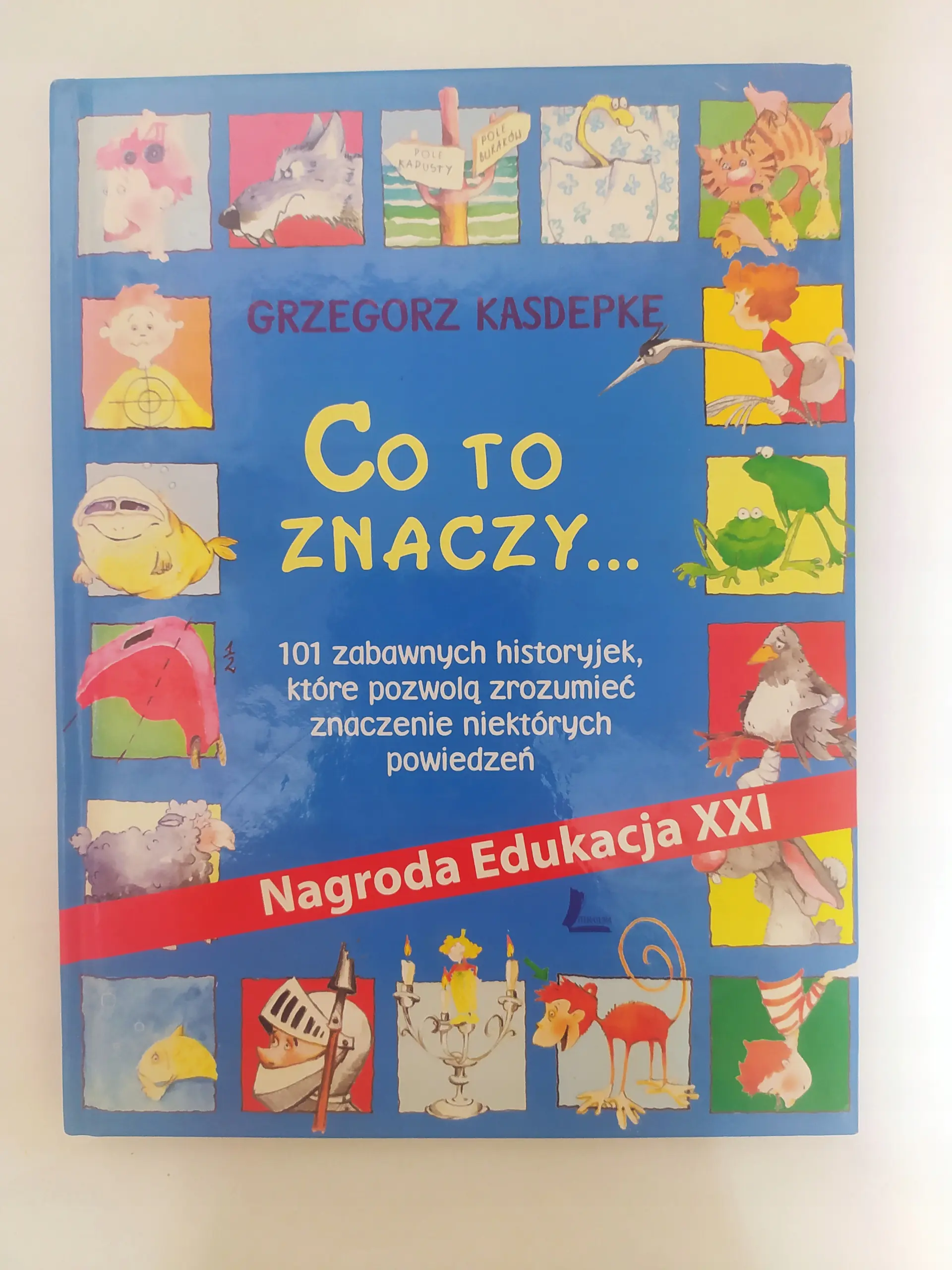 Książka - Co to znaczy... czyli 101 zabawnych historyjek, które pozwolą zrozumieć znaczenie niektórych powiedzeń