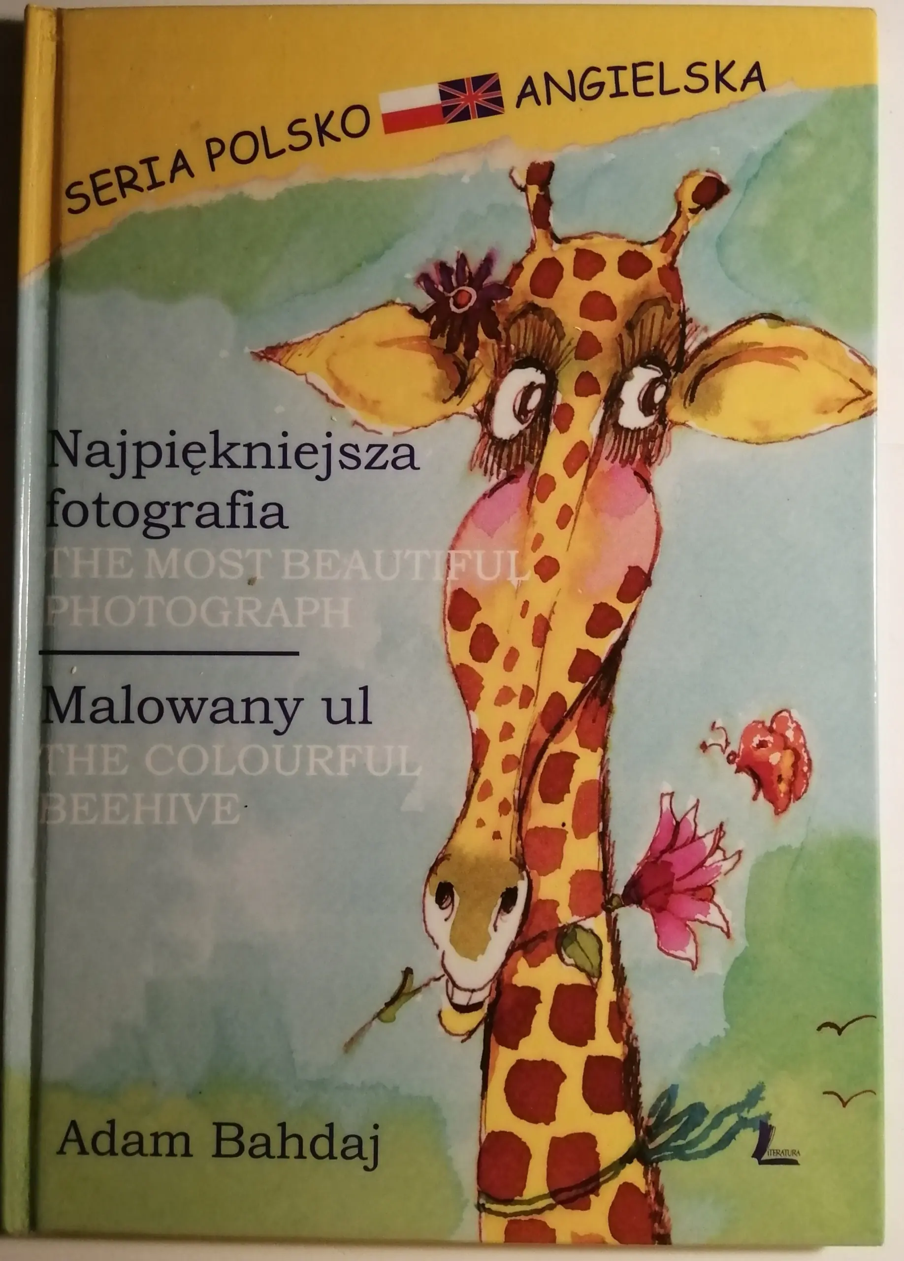 Książka - Najpiękniejsza fotografia. Malowany ul