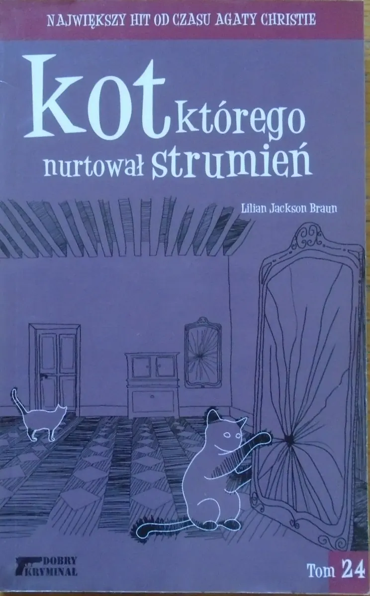 Książka - Kot, którego nurtował strumień