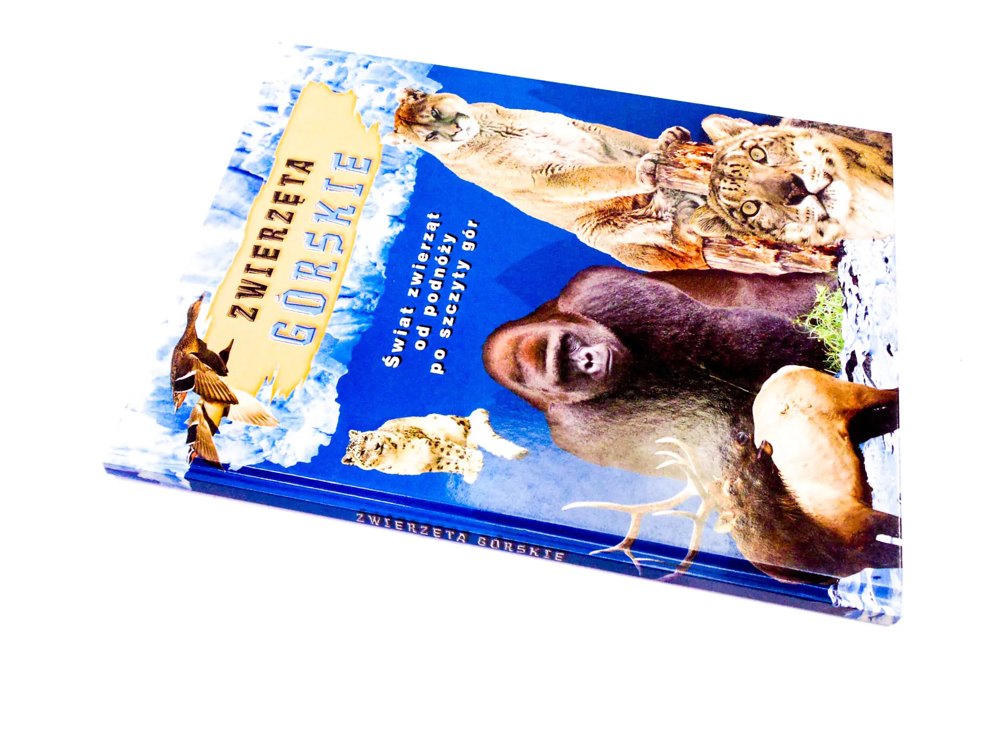 Książka - Zwierzęta górskie