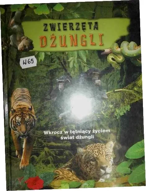 Książka - Zwierzęta dżungli