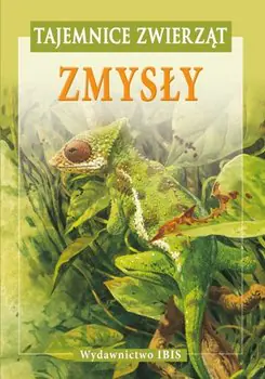 Zmysły