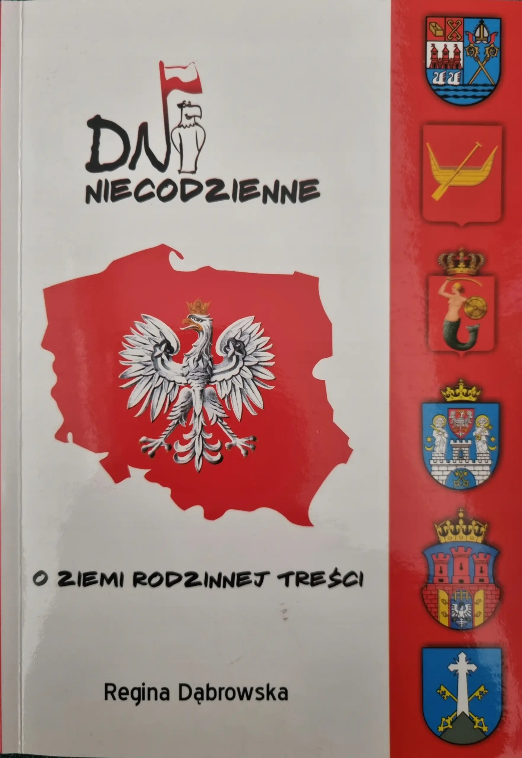 Książka - Dni niecodzienne