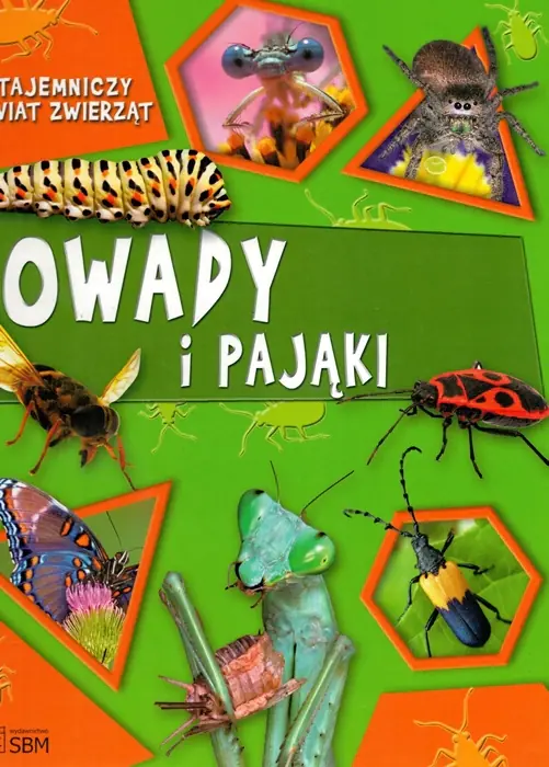 Książka - Tajemniczy świat zwierząt. Owady i pająki