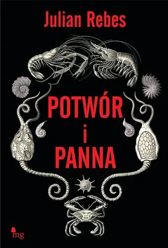 Książka - Potwór i panna