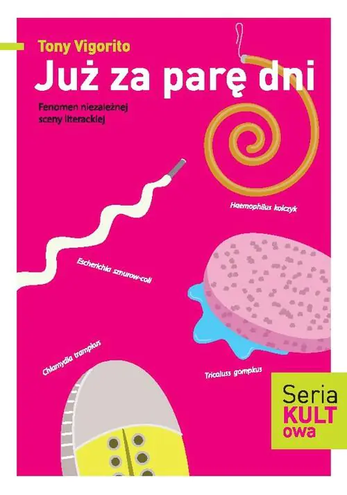 Książka - Już za parę dni