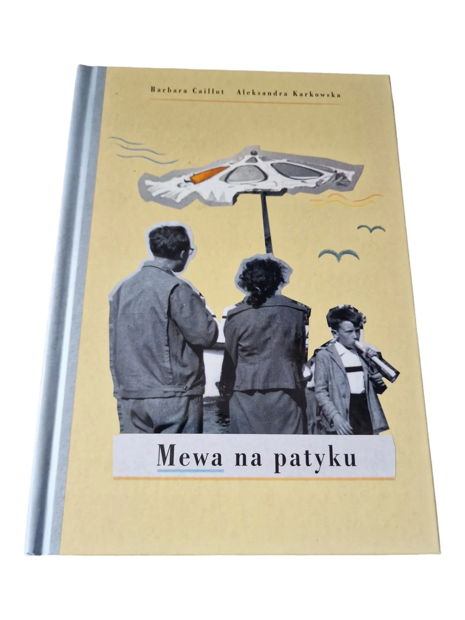 Książka - Mewa na patyku