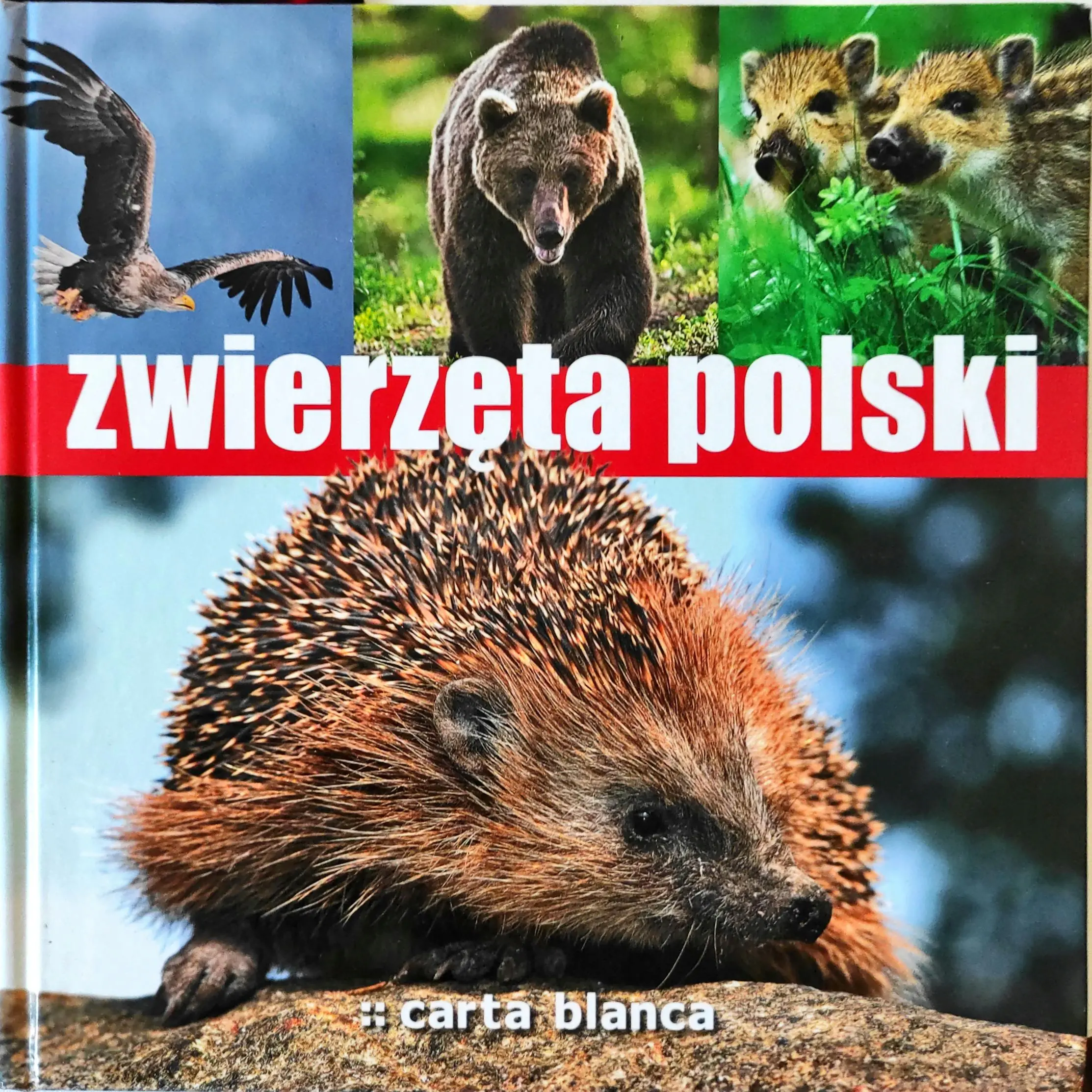 Książka - Zwierzęta Polski