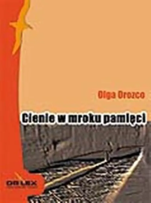 Książka - Cienie w mroku pamięci