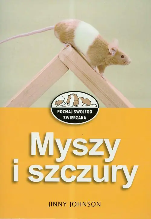 Książka - Myszy i szczury