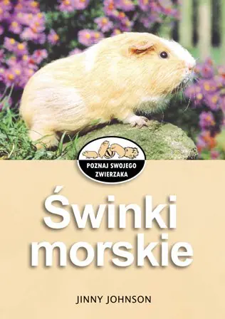 Książka - Świnki morskie