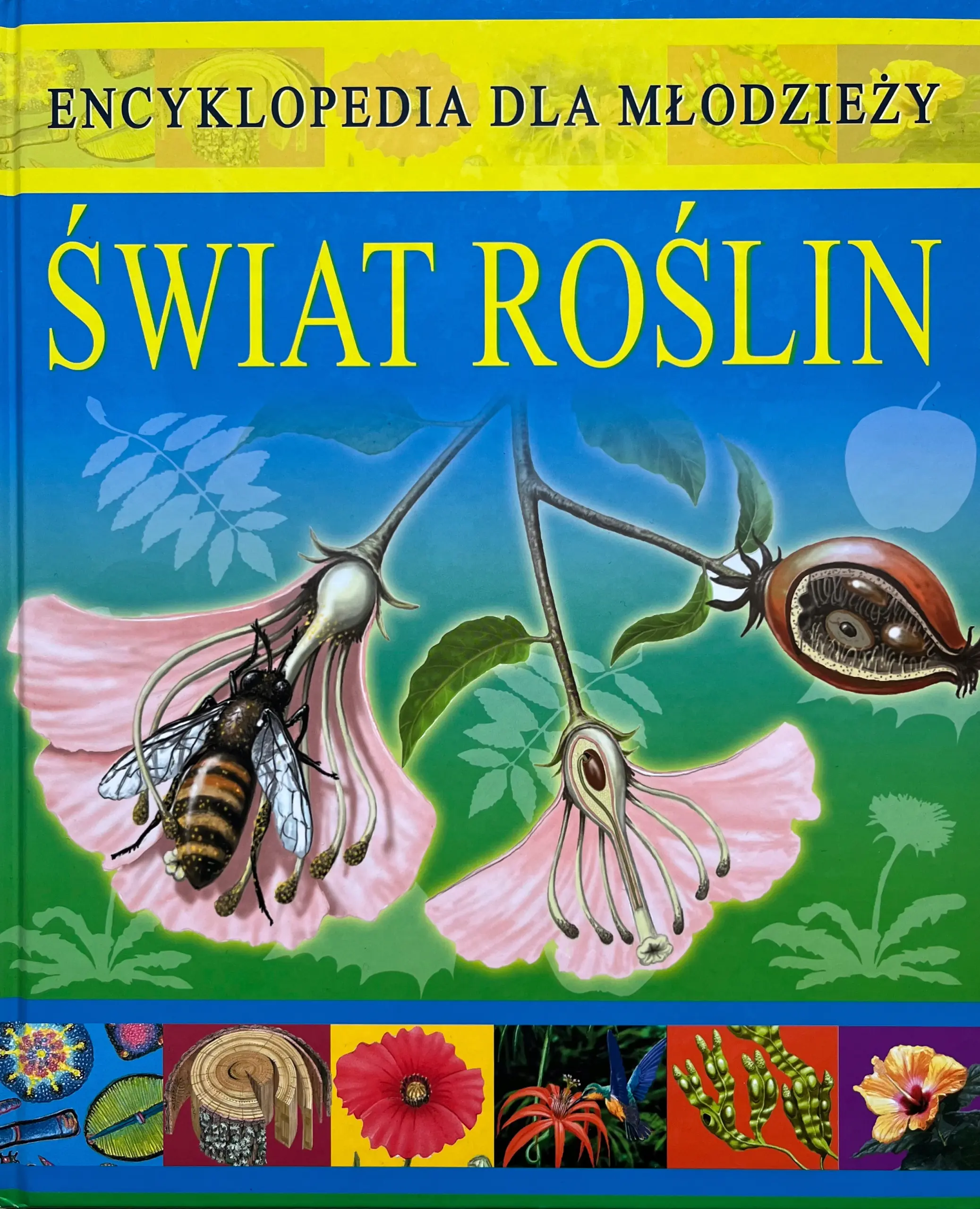 Książka - Świat roślin. Encyklopedia dla młodzieży