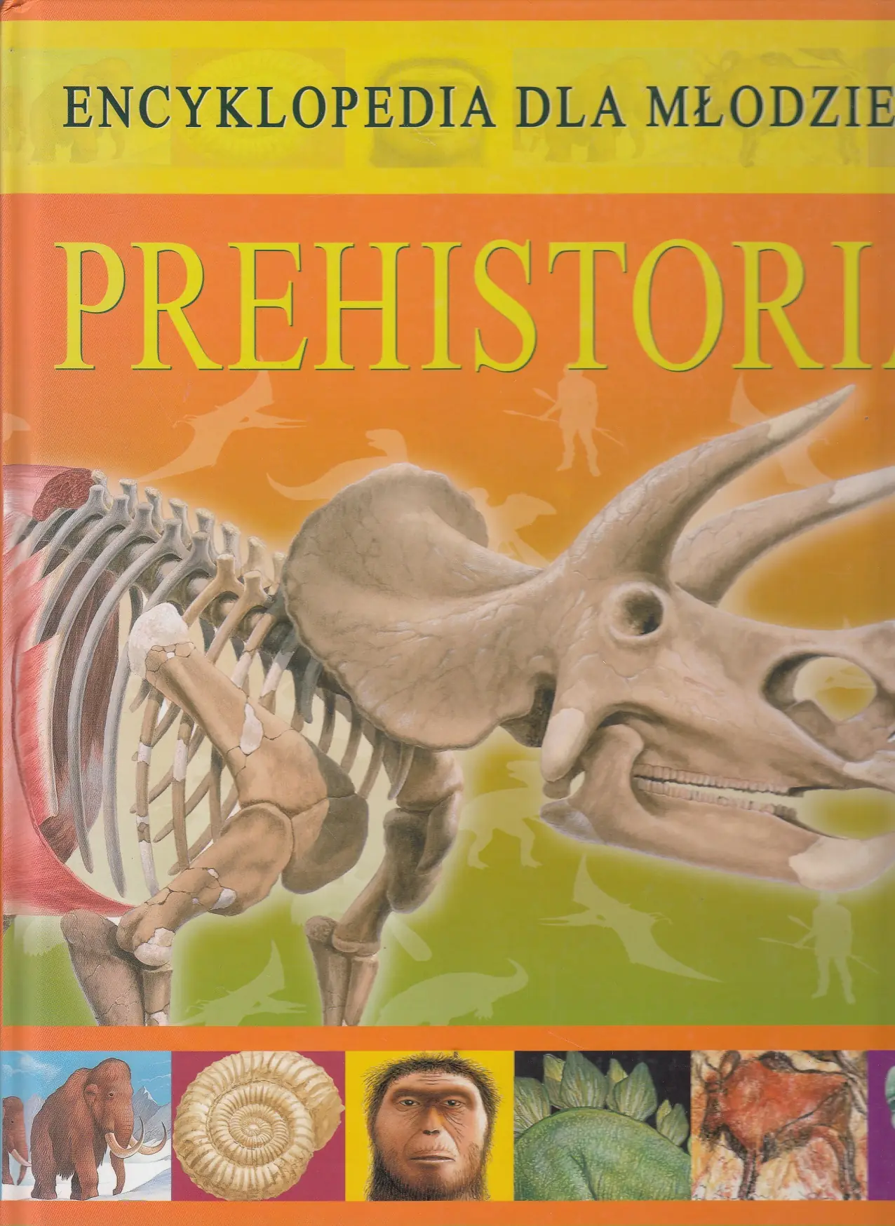 Książka - Encyklopedia dla młodzieży - Prehistoria