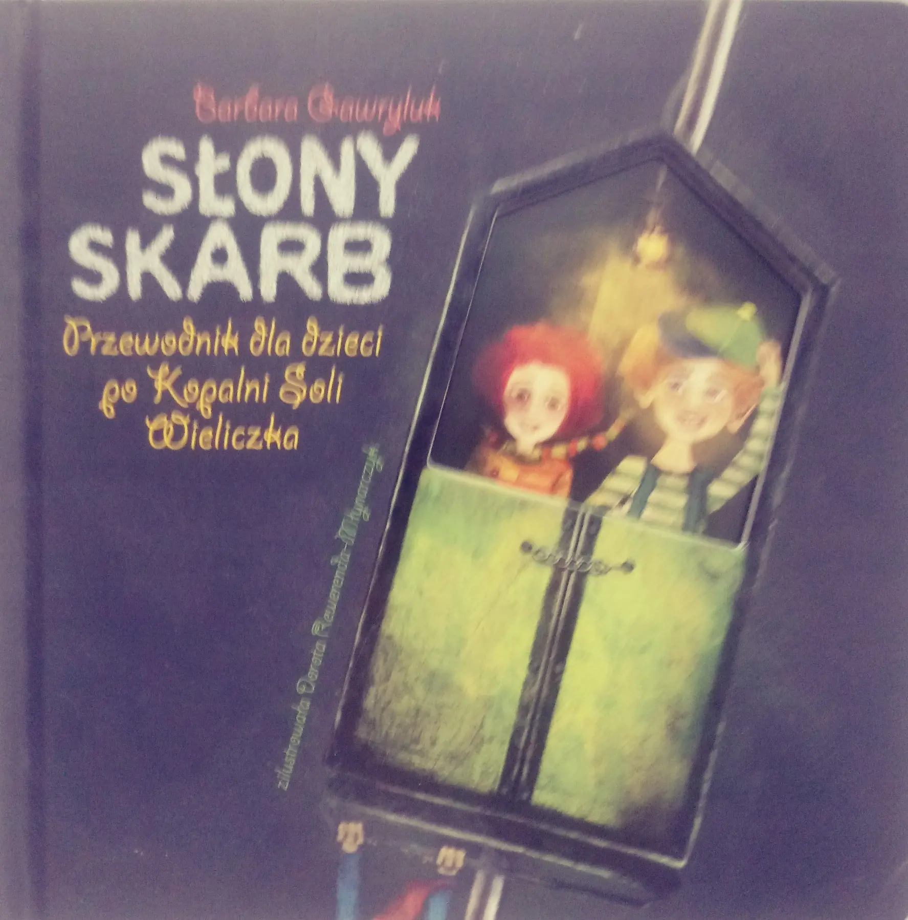 Książka - Słony skarb