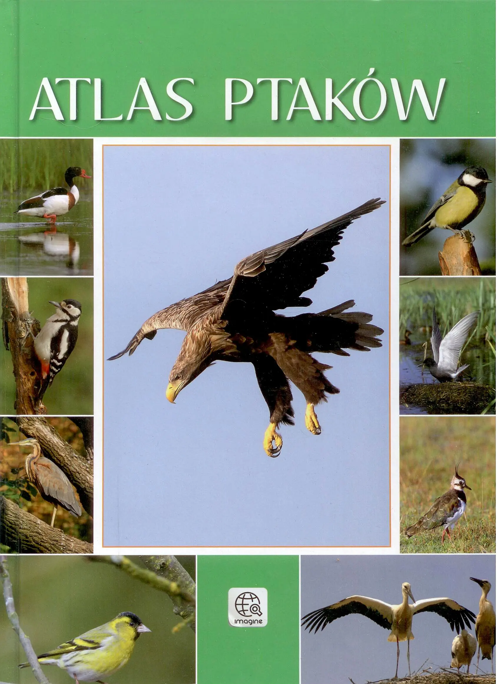 Książka - Atlas ptaków