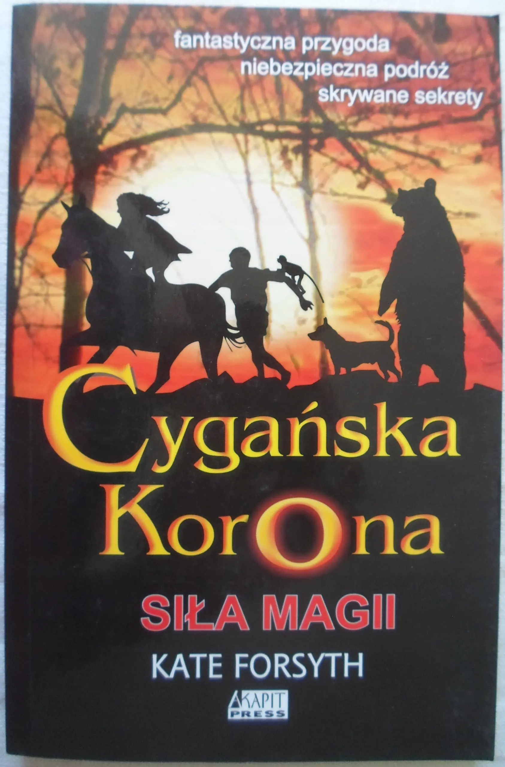 Książka - Cygańska korona