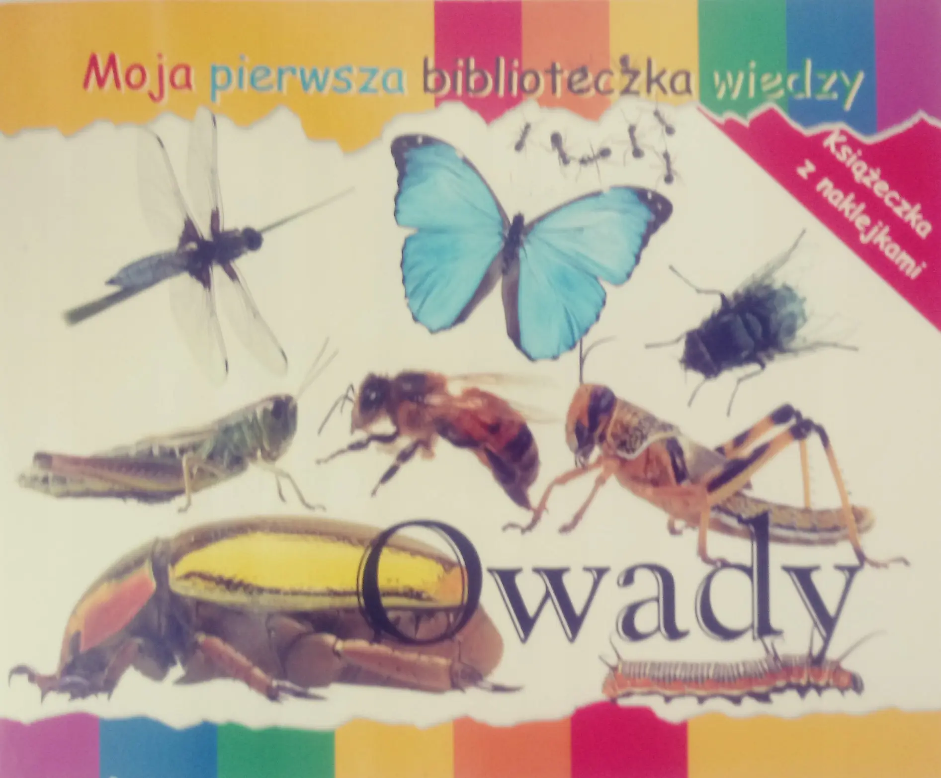 Książka - Owady Moja pierwsza biblioteczka wiedzy