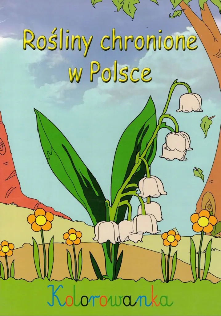 Książka - Rośliny chronione w Polsce