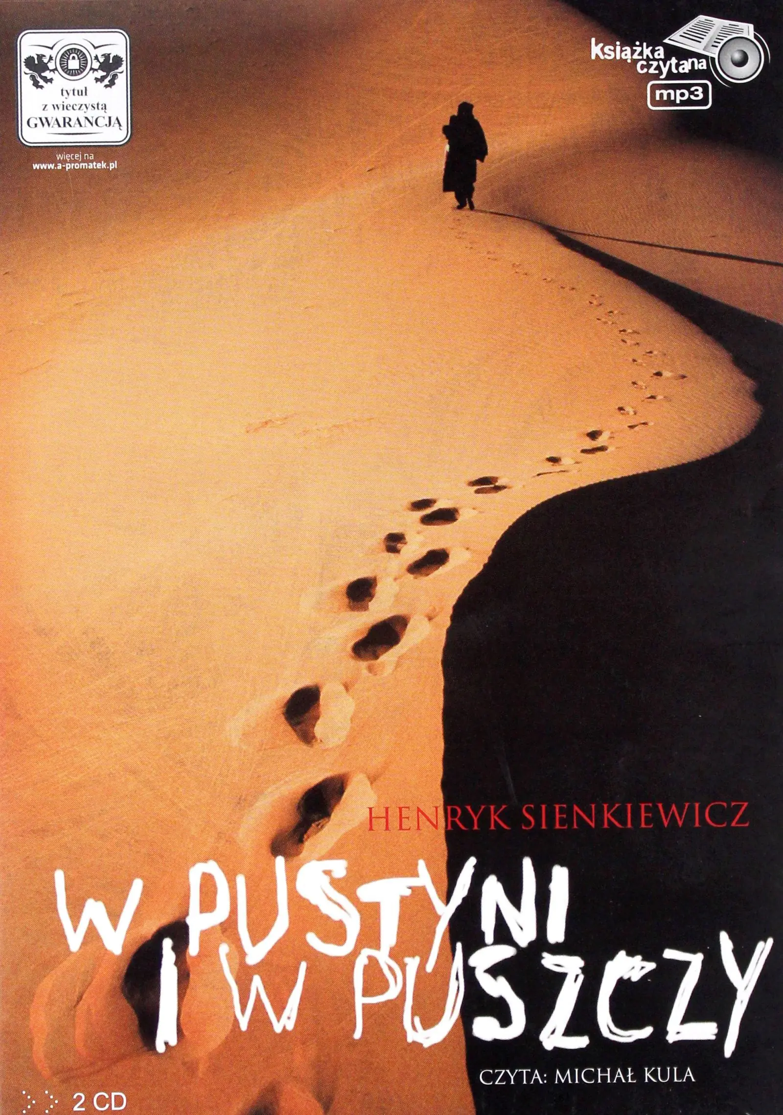 Książka - W pustyni i w puszczy