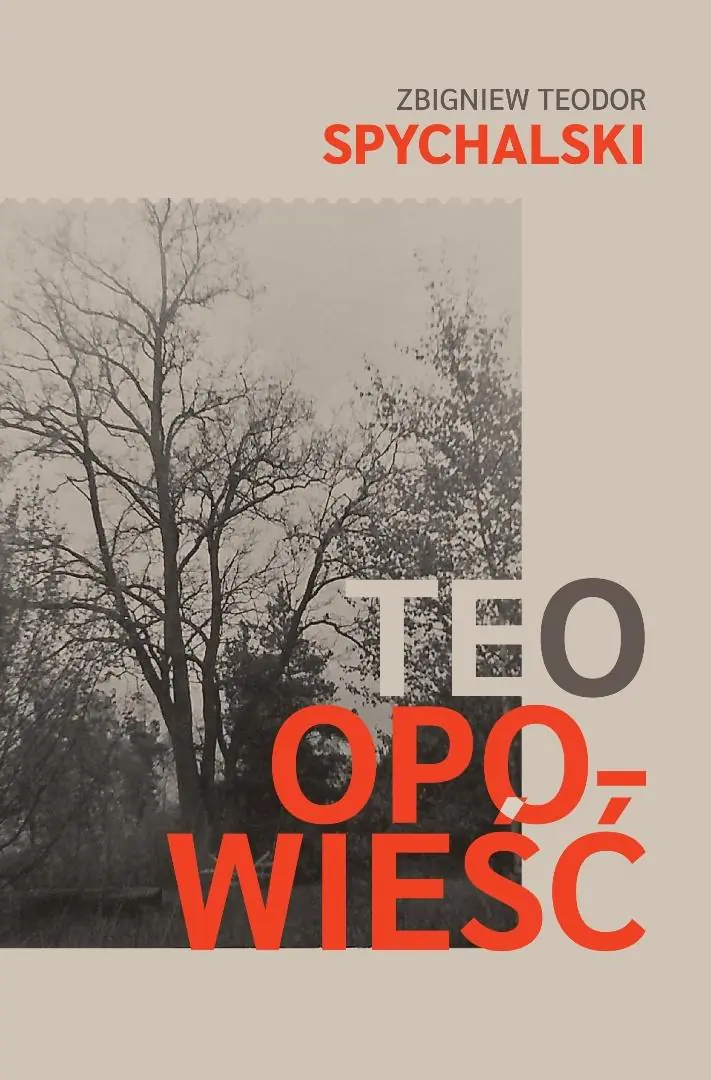 Książka - Teo. Opowieść