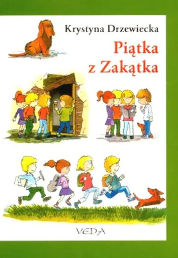 Książka - Piątka z Zakątka