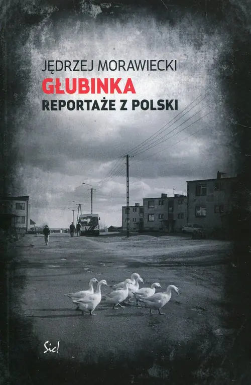 Książka - Głubinka. Reportaże z Polski