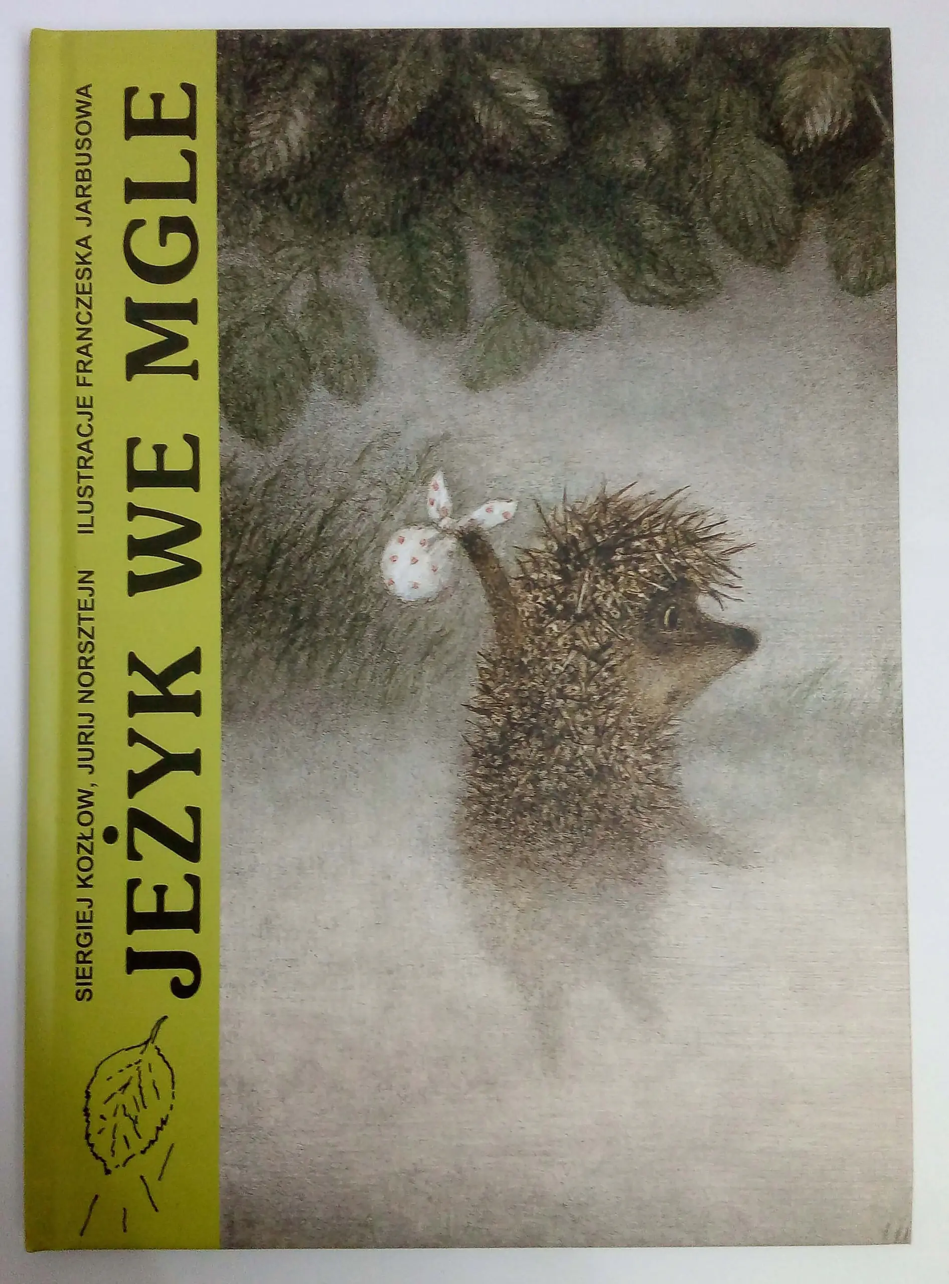 Książka - Jeżyk we mgle