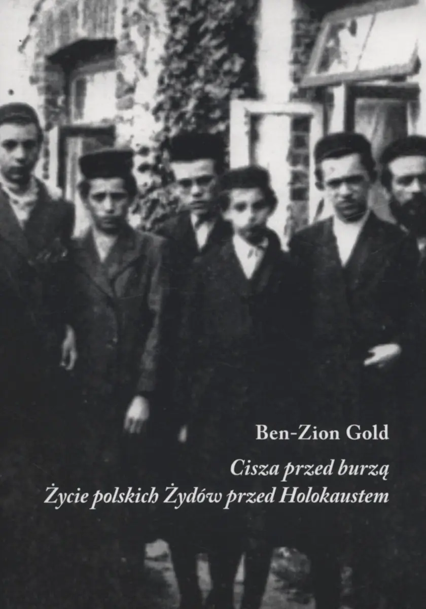 Książka - Cisza przed burzą