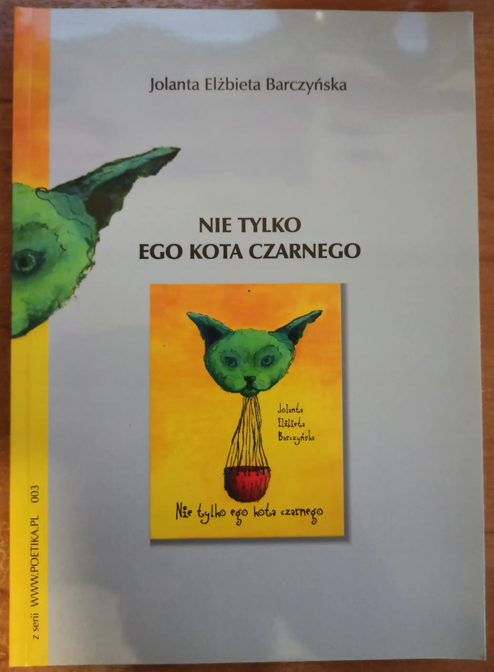 Książka - Nie tylko ego kota czarnego