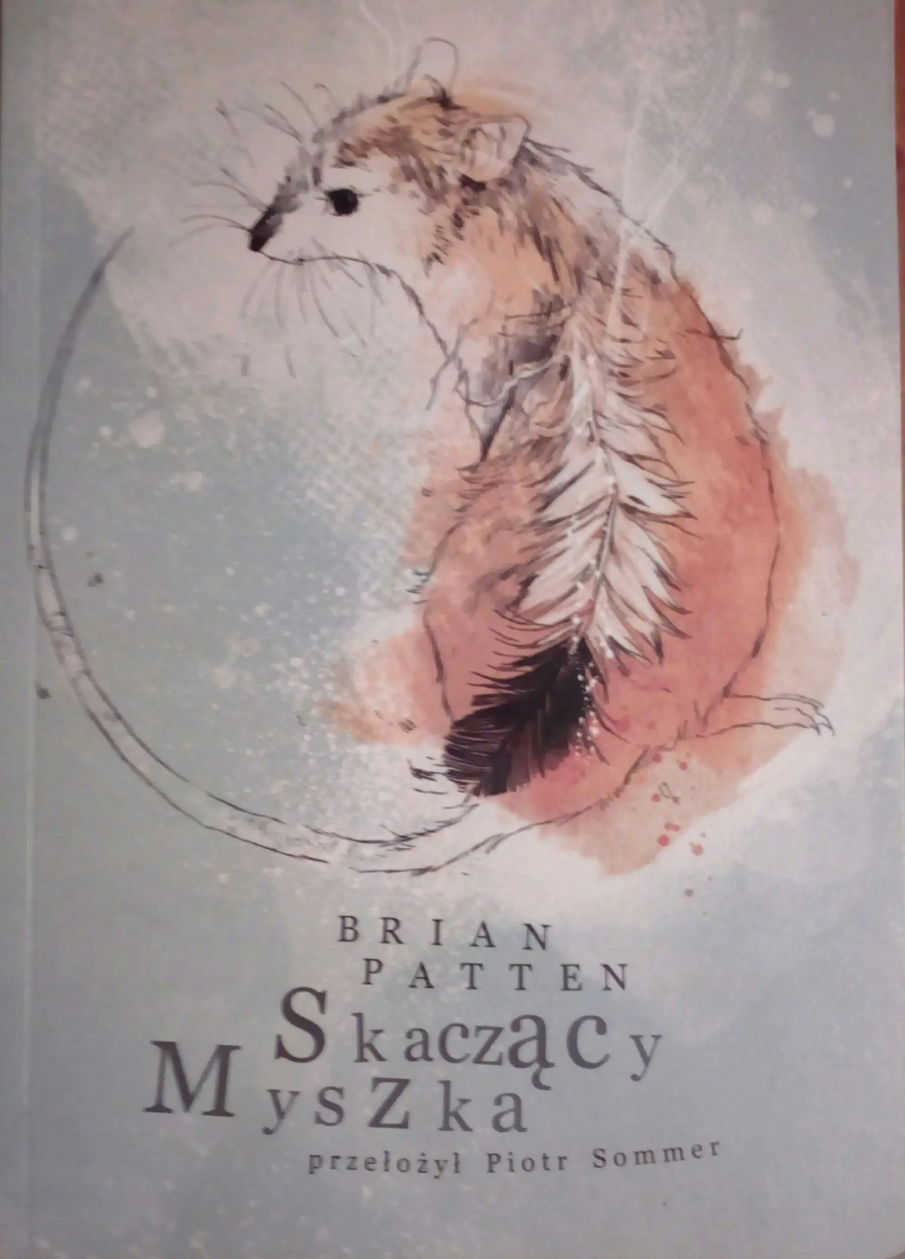 Książka - Skaczący Myszka