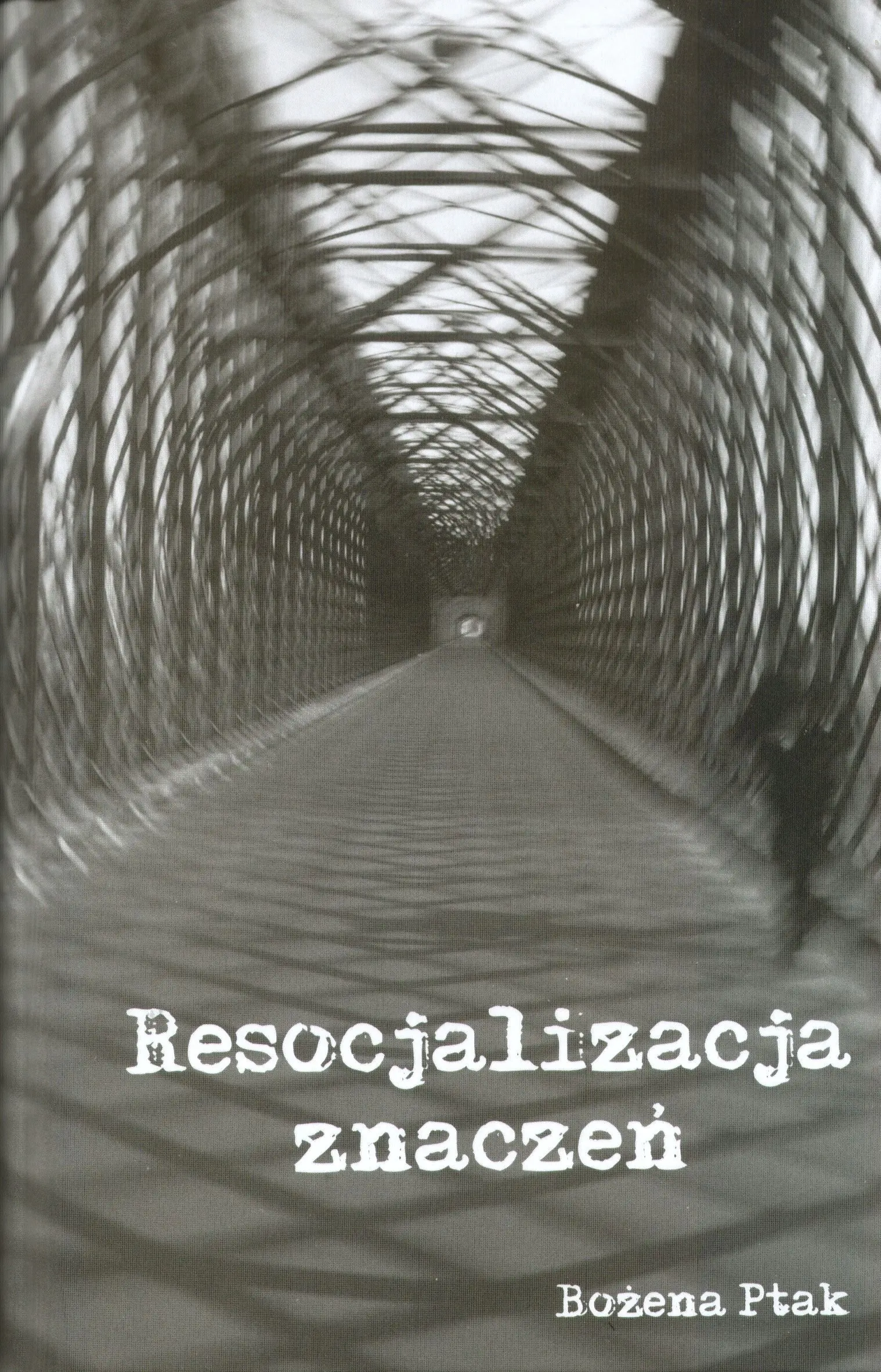 Książka - Resocjalizacja znaczeń