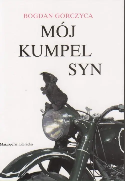 Książka - Mój kumpel syn