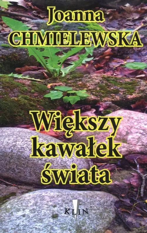 Książka - Większy kawałek świata