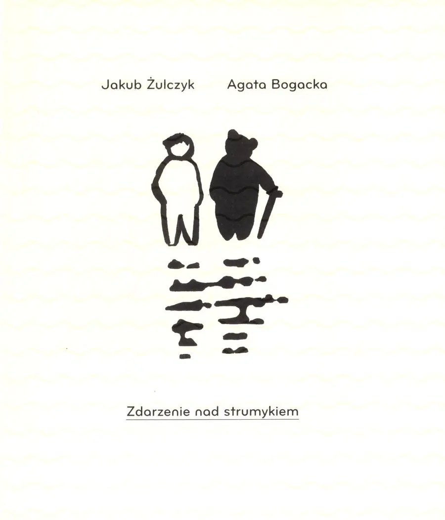 Książka - Zdarzenie nad strumykiem