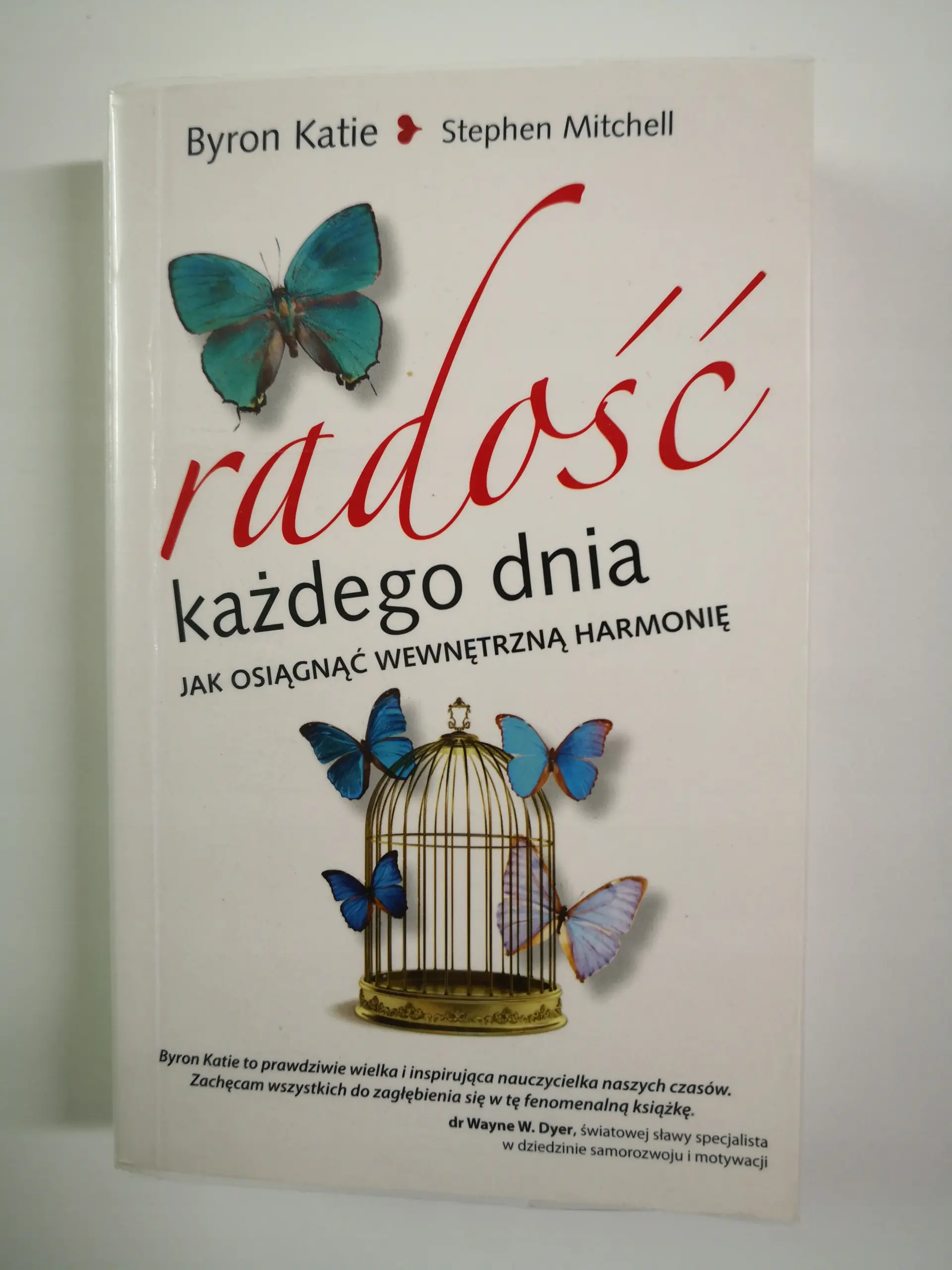 Książka - Radość każdego dnia. Jak osiągnąć wewnętrzną harmonię
