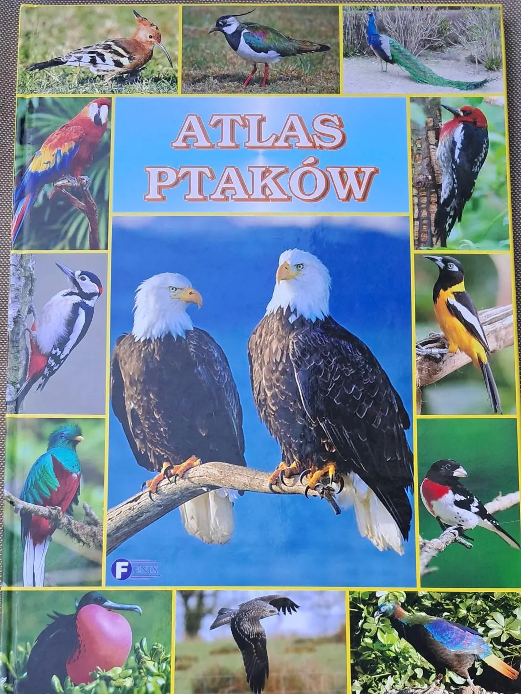 Książka - Atlas ptaków
