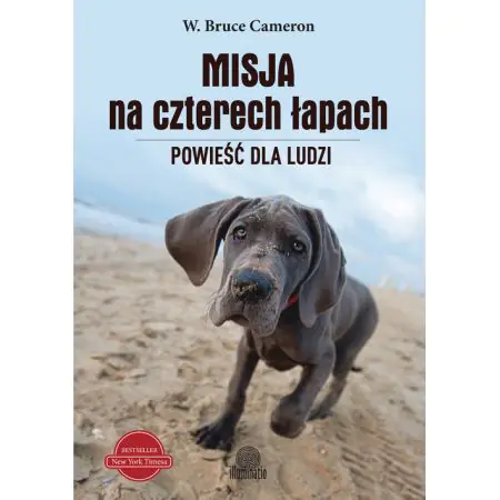 Misja na czterech łapach