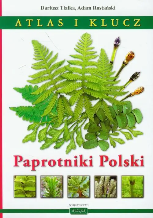 Książka - Paprotniki Polski Atlas i klucz