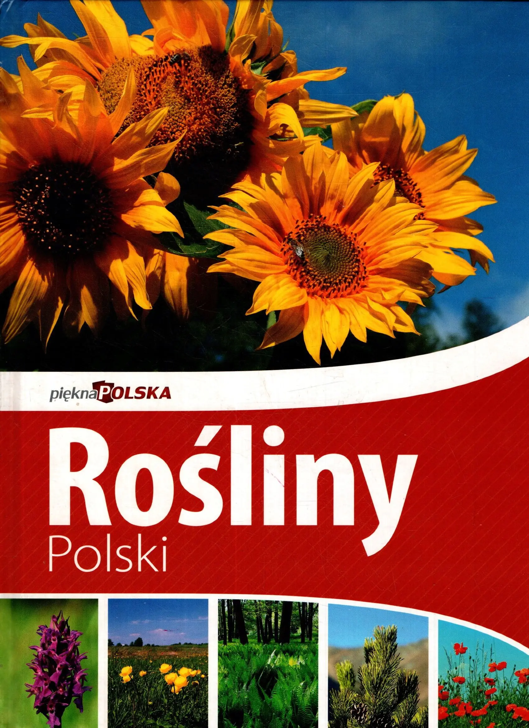 Książka - Piękna Polska Rośliny Polski
