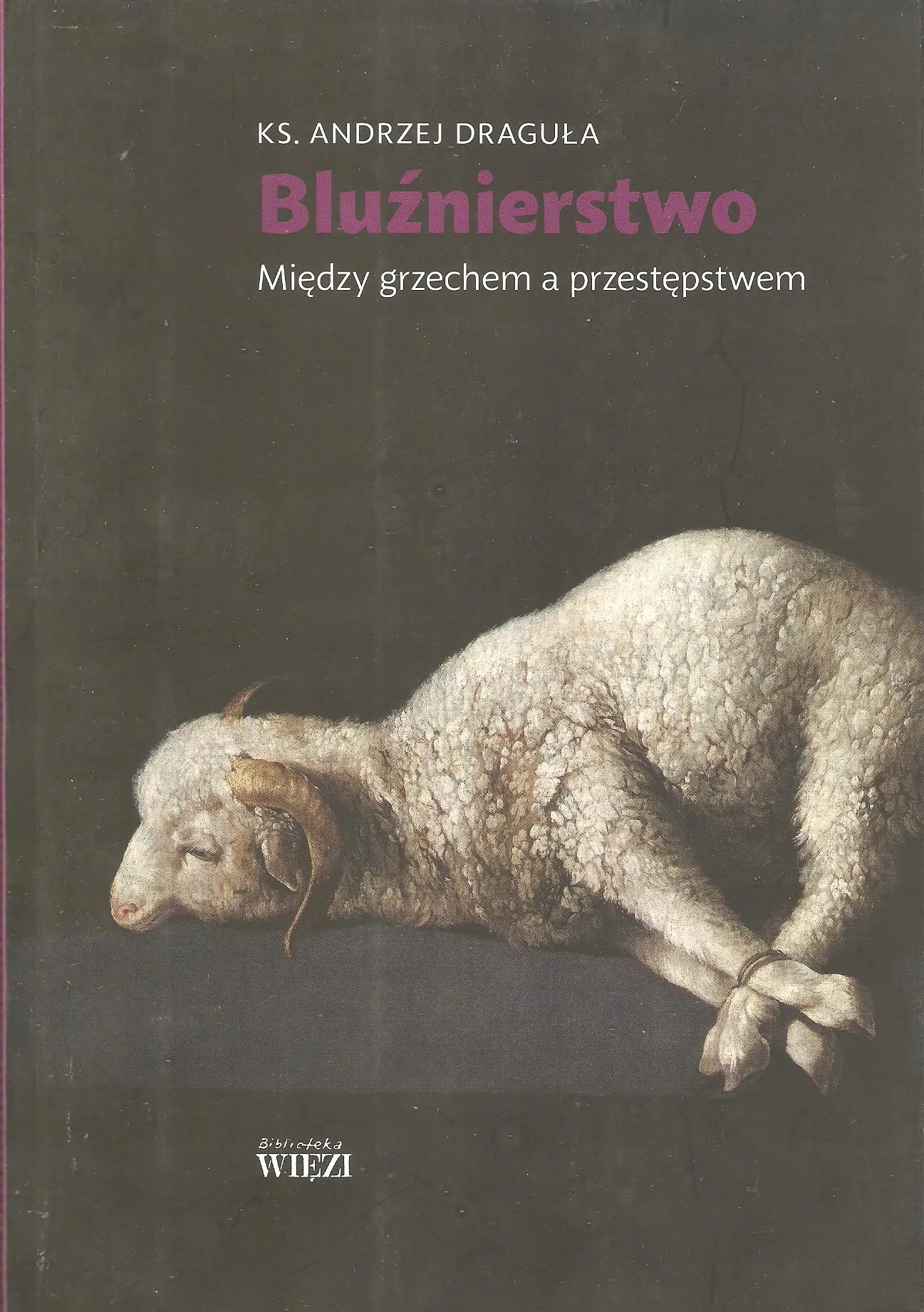 Książka - Bluźnierstwo