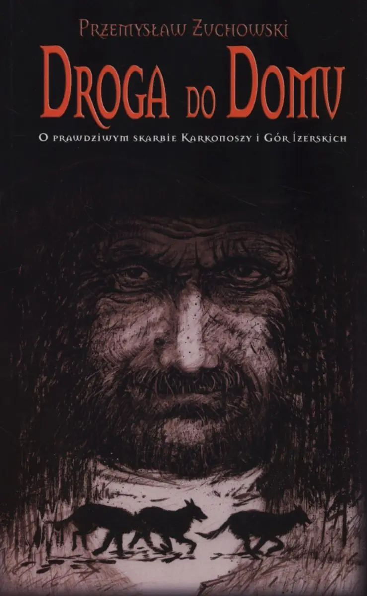 Książka - Droga do domu