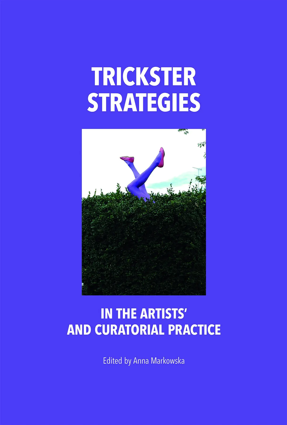 Książka - Trickster Strategies in the Artists’ and Curatorial Practice
