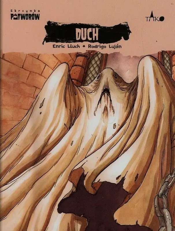 Książka - Duch