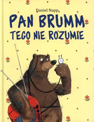 Książka - Pan Brumm tego nie rozumie