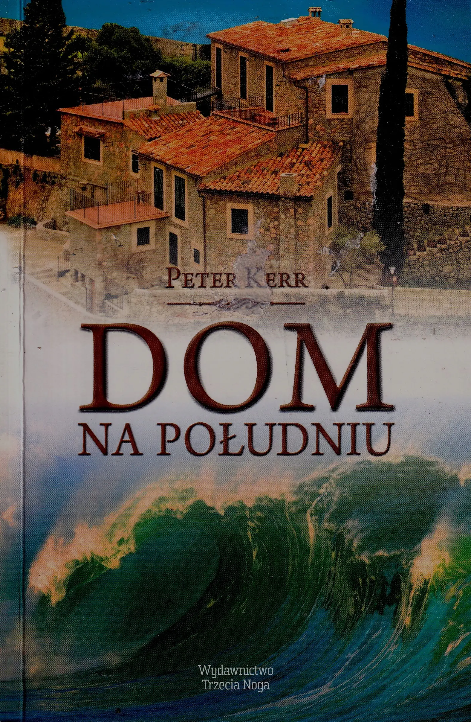 Książka - Dom na południu 